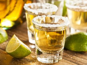 Tequila - Mexico - Sprachcaffe Reizen