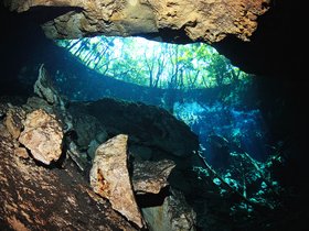 Cenotes - Mexico - Sprachcaffe Travel