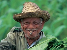 Cultivador de tabaco en el Valle de Vinales